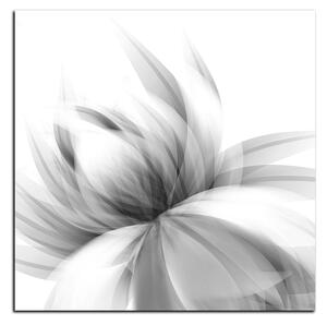 Obraz na plátne - Elegantný kvet - štvorec 3147QA (50x50 cm)