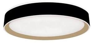 LED Stmievateľné stropné svietidlo s hlasovým ovládaním OPAL LED/48W/230V + DO