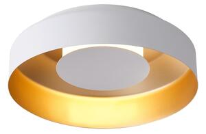 LED Stropné svietidlo LED/20W/230V 3000K biela