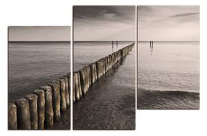 Obraz na plátne - Vlnolam 1143FD (120x80 cm)