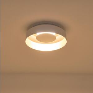 LED Stropné svietidlo LED/20W/230V 3000K biela