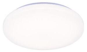 LED Stmievateľné stropné svietidlo s hlasovým ovládaním OPAL LED/48W/230V + DO