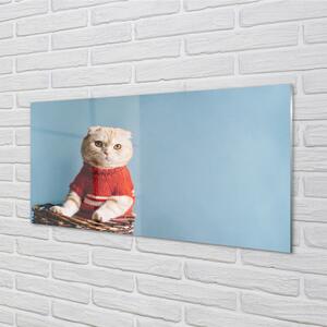 Nástenný panel  sediaci mačka 100x50 cm