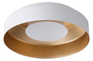 LED Stropné svietidlo LED/20W/230V 3000K biela