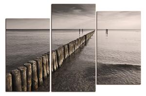 Obraz na plátne - Vlnolam 1143FC (90x60 cm)