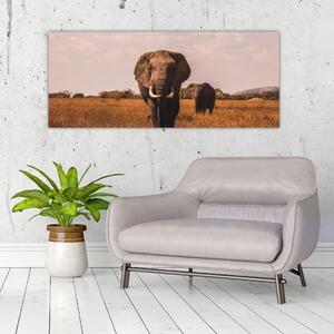 Obraz - Príchod slona (120x50 cm)