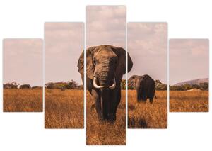 Obraz - Príchod slona (150x105 cm)