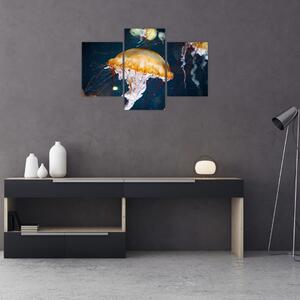 Obraz medúzy (90x60 cm)
