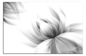 Obraz na plátne - Elegantný kvet 1147QA (75x50 cm)