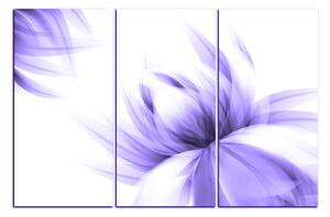 Obraz na plátne - Elegantný kvet 1147VB (150x100 cm)