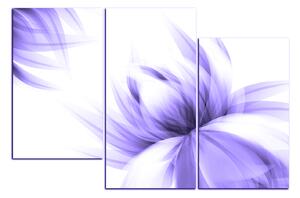Obraz na plátne - Elegantný kvet 1147VC (150x100 cm)