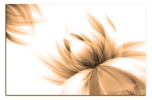 Obraz na plátne - Elegantný kvet 1147FA (100x70 cm)