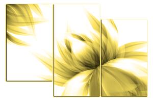 Obraz na plátne - Elegantný kvet 1147ZC (120x80 cm)