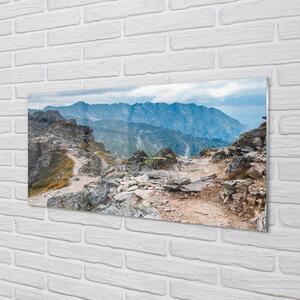 Nástenný panel  hory 100x50 cm