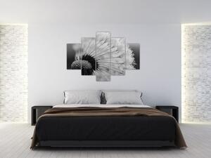 Obraz púpavy - čiernobiely (150x105 cm)