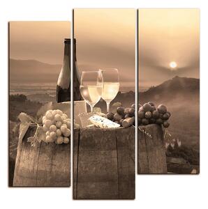 Obraz na plátne - Fľaša vína na vinici - štvorec 3152FD (75x75 cm)