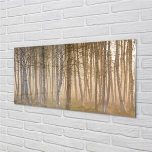 Nástenný panel  Sunrise strom les 100x50 cm