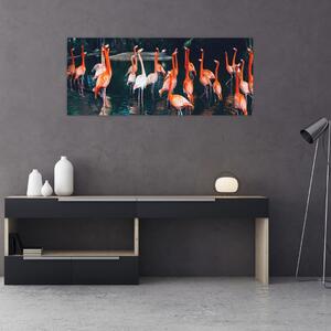 Obraz stádo plameniakov (120x50 cm)