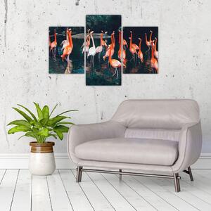 Obraz stádo plameniakov (90x60 cm)