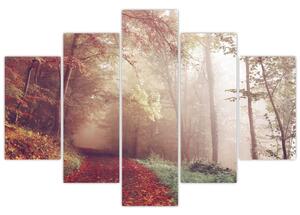 Obraz - Jesenná prechádzka lesom (150x105 cm)