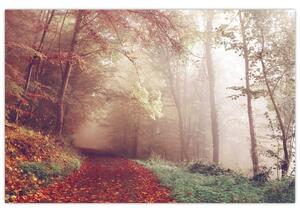 Obraz - Jesenná prechádzka lesom (90x60 cm)