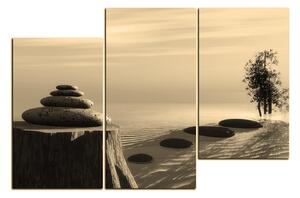 Obraz na plátne - Zen stones 1162FD (120x80 cm)