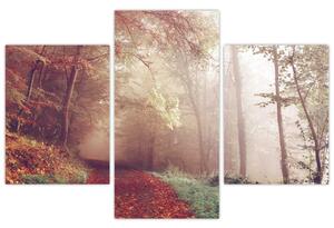 Obraz - Jesenná prechádzka lesom (90x60 cm)
