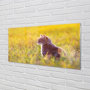 Nástenný panel  lov cat 100x50 cm
