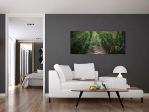 Obraz - Slnečné lúče v džungli (120x50 cm)