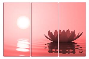 Obraz na plátne - Zen lotus 1167CB (150x100 cm)
