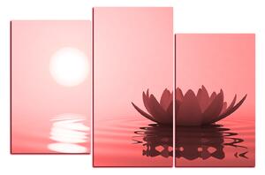 Obraz na plátne - Zen lotus 1167CC (120x80 cm)