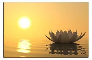 Obraz na plátne - Zen lotus 1167A (100x70 cm)