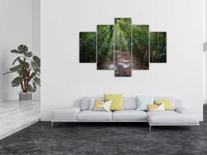 Obraz - Slnečné lúče v džungli (150x105 cm)