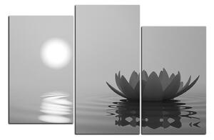 Obraz na plátne - Zen lotus 1167QC (90x60 cm)