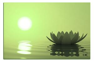 Obraz na plátne - Zen lotus 1167ZA (120x80 cm)