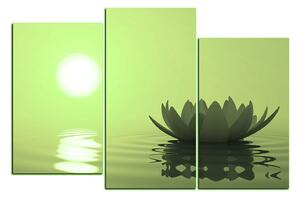 Obraz na plátne - Zen lotus 1167ZC (120x80 cm)