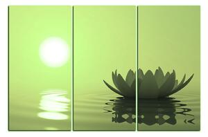 Obraz na plátne - Zen lotus 1167ZB (150x100 cm)