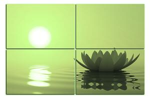 Obraz na plátne - Zen lotus 1167ZD (150x100 cm)