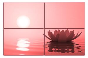 Obraz na plátne - Zen lotus 1167CD (150x100 cm)