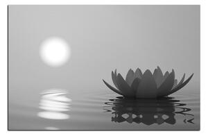 Obraz na plátne - Zen lotus 1167QA (75x50 cm)