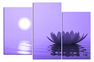 Obraz na plátne - Zen lotus 1167VC (90x60 cm)