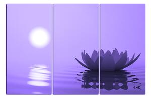 Obraz na plátne - Zen lotus 1167VB (150x100 cm)