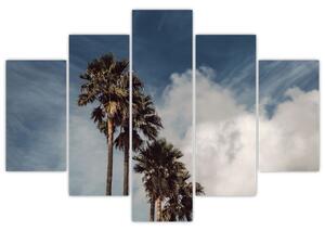Obraz - Palmová dráma (150x105 cm)
