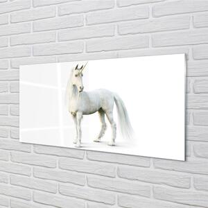Nástenný panel  biely jednorožec 100x50 cm