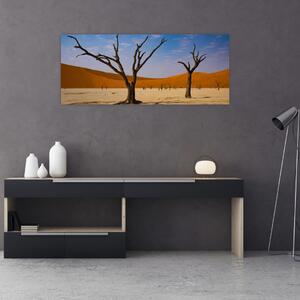 Obraz - Údolie smrti (120x50 cm)