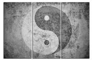 Obraz na plátne - Jin a jang symbol 1170QB (150x100 cm)