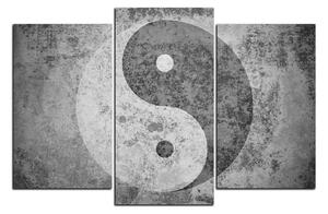 Obraz na plátne - Jin a jang symbol 1170QC (120x80 cm)