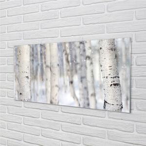 Nástenný panel  Stromy v zime sneh 100x50 cm