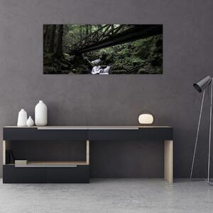 Obraz z čierneho lesa (120x50 cm)