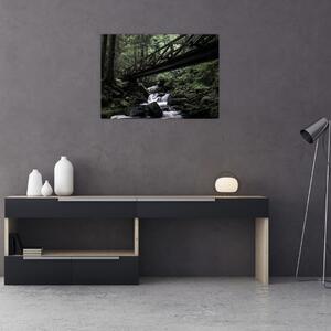 Obraz z čierneho lesa (70x50 cm)